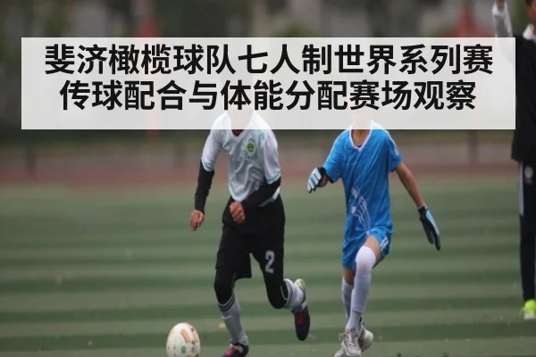 斐济橄榄球队七人制世界系列赛传球配合与体能分配赛场观察